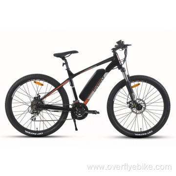 XY-Sportsman eMTB with stable performance